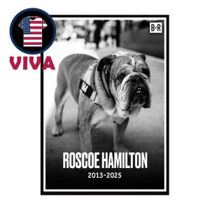 RIP Roscoe Lewis Hamilton’s Dog Passed Away At 12 Home Decor Poster Canvas