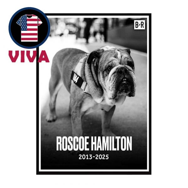 RIP Roscoe Lewis Hamilton’s Dog Passed Away At 12 Home Decor Poster Canvas